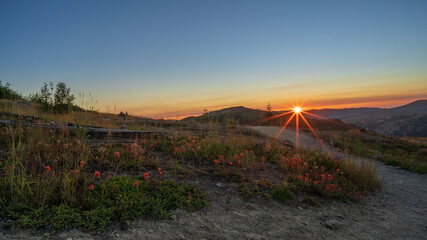 Sunset Along Mountain Trail In Washington State