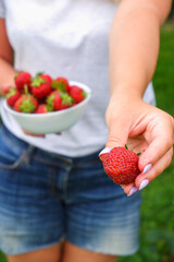Harvesting organic strawberries. An attractive woman in denim shorts gives you a strawberry on her outstretched hand, with the other hand holding a white plate ripe with ripe strawberries.