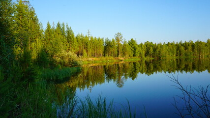 Fototapeta na wymiar nature forest landscape river summer evening sun