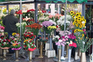 Bukiet pięknych kwiatów różnokolorowych na straganie we Wrocławiu na rynku.  - obrazy, fototapety, plakaty