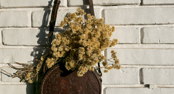 Flores secas de Marcela  (Achyrocline satureioides) usadas para hacer t&eacute; digestivo