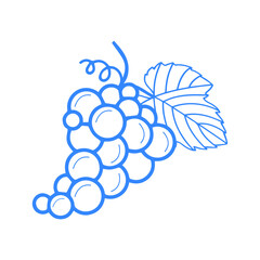 Grape icon (raisins, winery icon) Blue Vector illustration