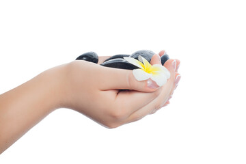 Fototapeta premium Beauty hands with black massage stones and white flower isolated on white background