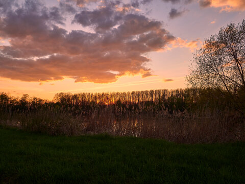 Sonnenuntergang im Vogelschutzgebiet NSG Garstadt bei Heidenfeld im Landkreis Schweinfurt, Unterfranken, Bayern, Deutschland © dina