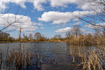 Vogelschutzgebiet Hochreinsee im Naturschutzgebiet Mainaue bei Augsfeld, Landkreis Hassberge, Unterfranken, Franken, Bayern, Deutschland