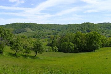 Fototapeta premium Landschaft im Naturschutzgebiet Hohe Wann zwischen Zeil am Main und Krum, Landkreis Hassberge, Unterfranken, Franken, Bayern, Deutschland
