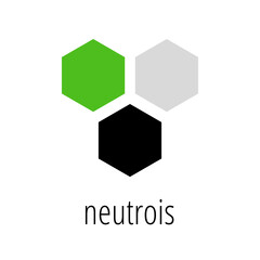 Neutrois LGBT Pride Flag With White Background