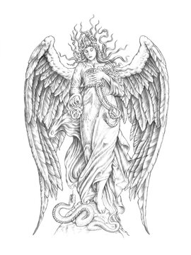 angel illustration