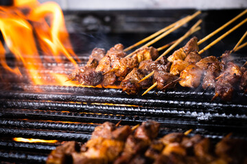 meat kebab on the grill or mishkaki