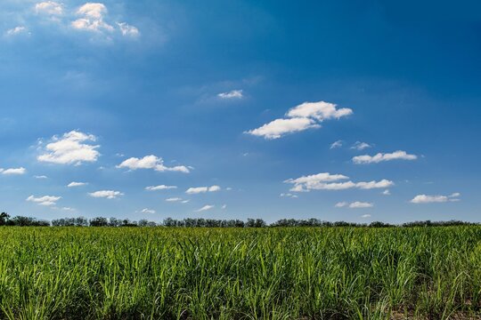 28,891 件の最適な アシエンダ制 画像、ストック写真、ベクター Adobe Stock