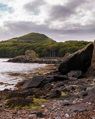 Fototapeta na wymiar Beach and forest on Islay, Scotland, UK