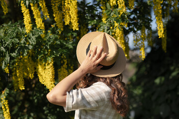 Women with the hat on in the nature looking at yellow blooming tree