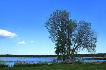 Fototapeta premium Nice view over a Swedish landscape and water. Part of lake Malar or Mälaren. Summer weather a sunny day. Close outside of Stockholm, Sweden, Scandinavia, Europe.