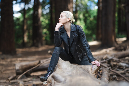 Young Woman Sitting or Standing on Fallen Tree in a Redwood Grove