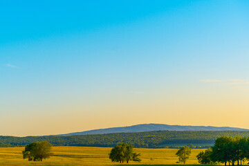 Obraz premium Field and mountains near Kilimanjaro.