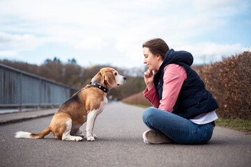 Beagle Hund mit junger Frau