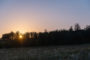 Sunset, the sun can be seen through the trees.