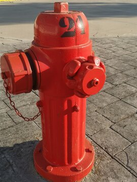 fire hydrant in the pavement