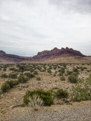 Desert mountain landscapes 