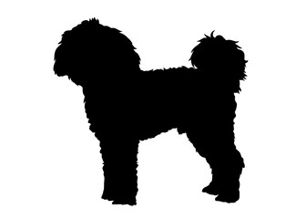 Cavapoo dog silhouette, Vector illustration silhouette of a dog on a white background.	