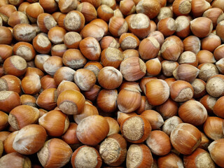 unpeeled hazelnuts. background and texture. agriculture. supermarket