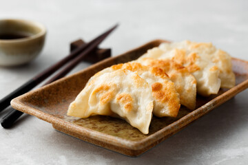 Gyoza dumplings, popular japanese and chinese food