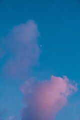 Half moon on pink sky
