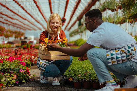 Two diverse coworkers planting flowers in greenhouse - Powered by Adobe