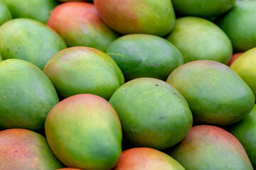 Staked of fresh ripe fruit on the market stall, A mango is an edible stone fruit produced by the tropical tree Mangifera indica, Worldwide there are several hundred cultivars of mango. - obrazy, fototapety, plakaty