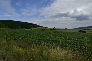 Landschaft und Wolkenbild bei Hameln