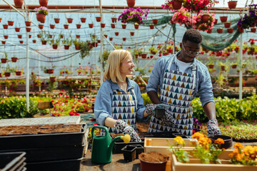 Florist couple planting flowers in greenhouse