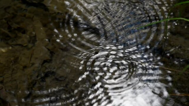 le gocce di pioggia che cadono sul torrente e creano cerchi concentrici, la pioggia sull'acqua