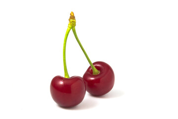 Two cherries isolated on white background. Fresh fruits full focus.
