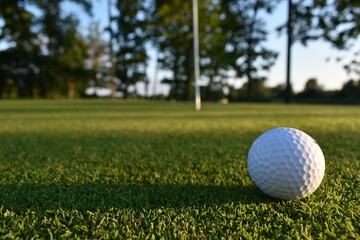 Golf ball lies on the closely trimmed grass, on the putting green. 