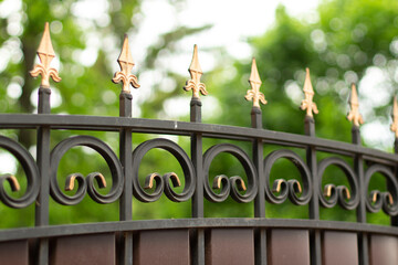The forged fence. Pins at the top of the fence.