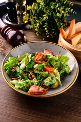 Healthy green salad with prosciutto, mozzarella and vegetables