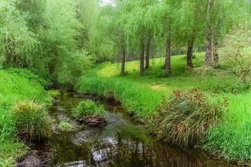 Fototapeta na wymiar Dreamy Creek