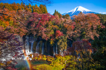 富士山と虹のかかる紅葉の白糸の滝
