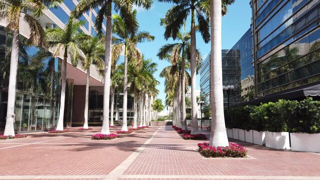 USA, Miami - March, 2019 Stay-at-Home Covid-19. view of deserted streets