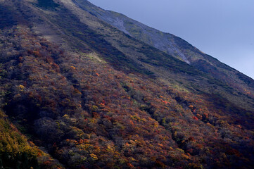 秋の大山