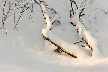 snow drifts in the winter season