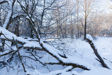 frozen in winter the river