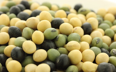 三色の大豆のミックス