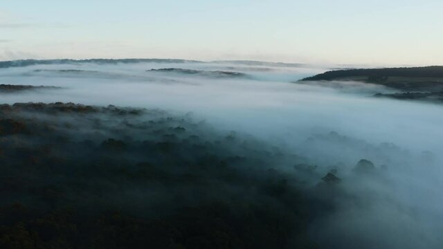 Australian Rainforest Aerial footage 4k