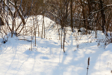 snowfall in the winter season and white fluffy cold snow