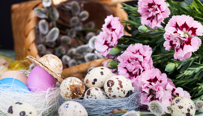 Fototapeta na wymiar flowering willow, eggs for Easter celebration