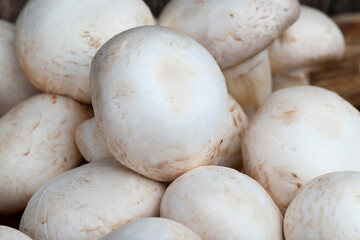 unwashed mushrooms champignon during cooking