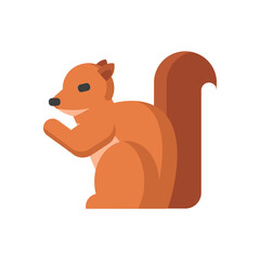 Squirrel icon, flat icon vector illustration isolated on a white background. for the theme of animals, rodents and others