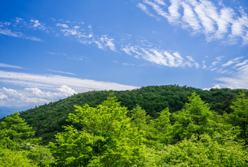 Fototapeta na wymiar 初夏の高ボッチ高原からの風景