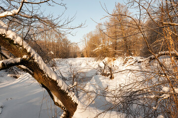 frozen water in the river during frosts